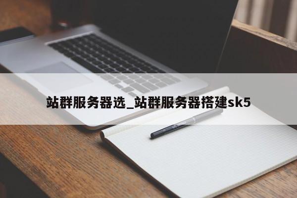 站群服务器选_站群服务器搭建sk5